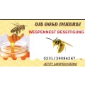 Wespennest, Imker Dortmund, Wespennotdienst, Wespenbekämpfung