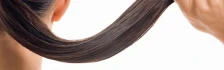 Logo Die Haardesigner
