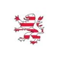 Logo DIE LINKE-Landtagsfraktion
