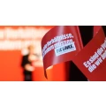 Logo DIE LINKE.Westsachsen