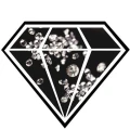 Logo Die Stralsunder Piraten Harald A&szlig;mann