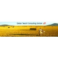 Logo Dieter Tesch Consulting GmbH