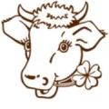 Logo Dahse, Dietmar