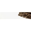 Logo Hesse, Dietrich