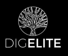 DigElite Webdesign Westerkappeln