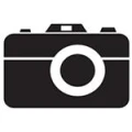 Logo Dino Biscalchin