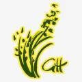 Logo Hennemann, Gabriele Dipl.-Ing.