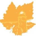 Logo Eudenbach, Markus Dipl.-Ing.