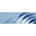 Logo Hase, Eckhard Dipl.-Kfm.