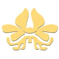 Logo Berneke, Jana Dipl.-Med.