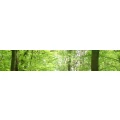 Logo Fitz, Frank Dipl.-Psych.
