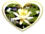 Logo Dipl.-Psych. Regina Jurack Psychologische Psychotherapie