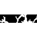 Logo Trensch, Roman Dipl.-Psych.