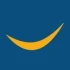 Logo Direktiv - Steuerberatungsgesellschaft mbH