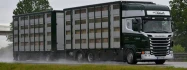 Logo Dirk Friedrich Schultz Viehtransporte