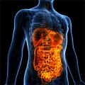 Dirk Krebs Praxis f&uuml;r Psychoanalyse, Psychosomatik und Psychotherapie Kiel