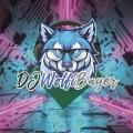DJ Wolfi Bayer Augsburg