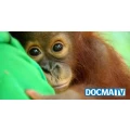 Logo DOCMA TV Produktion GmbH