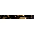 Logo D&ouml;hne