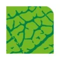Logo D&ouml;rrenb&auml;cher Pflanzen und Gestalten Anne und Kathrin Wolf GbR