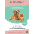 Dog Beauty Styling Taufkirchen, Kreis M&uuml;hldorf am Inn