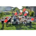 Dog Logde Hundehotel Tannheim