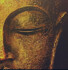 Logo Dogmai Thai Massage
