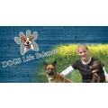 Logo DOGS Life Balance