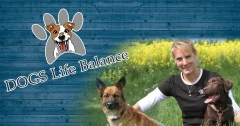 Logo DOGS Life Balance