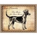 Logo Dogs-Premium