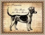 Logo Dogs-Premium Manuel Profeta