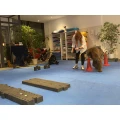 dogsphysio Praxis f&uuml;r Hunde-Physiotherapie Sabine Harrer Aschau
