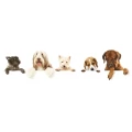 Logo dogstyle & wellness