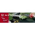 Logo Dollinger Koi u. Teich