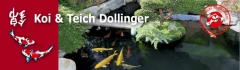 Logo Dollinger Koi u. Teich Fachbetrieb für Garten- und Landschaftsbau