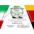 Dolmetscherb&uuml;ro Mirmehdi, Masoud Berlin