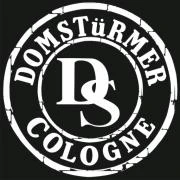 Logo Domstürmer - Maletz/Nauber/Christ GbR