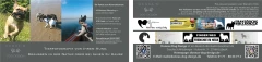 Logo Donnas Dog Design - Gastronovation UG