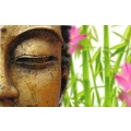 Logo Doog-Maai-Thai Massage