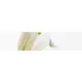 Logo Rickershenrich, Doris