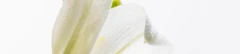 Logo Doris Rickershenrich Heilpraktikerin