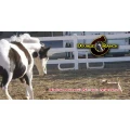 Logo Double C Ranch
