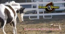 Logo Double C Ranch