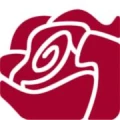 Logo Schaser, Annekatrin Dr.
