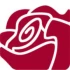 Logo Dr. Annekatrin Schaser Fachärztin für Orthopädie