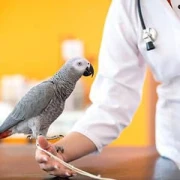 Dr. Annett Grune Tierarztpraxis für Kleintiere Mirow