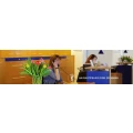 Logo Diehl, Annette Dr.