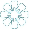 Logo Wilke, Bettina Dr.