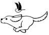 Logo Dr. Damian Nowak