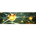 Logo Teke, Emriye Dr. Dipl.-Psych.